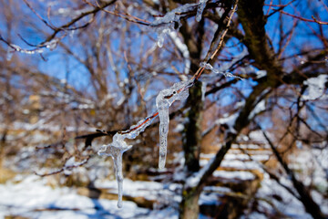 Iced water drops in Ifrane city