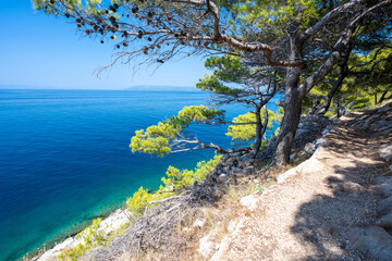 Fototapeta na wymiar beautiful coast of adriatic sea in Makarska in Dalmatia region in Croatia