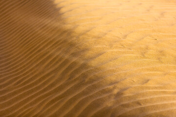 Sand waves in the desert