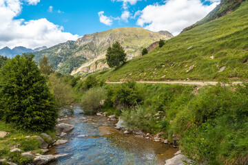 Fototapeta na wymiar Mountain path along the river in the Ripera valley in summer, Pyrenees Mountains in summer