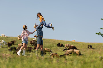 side view of excited farmer holding daughter near wife and sheep herd in green meadow.