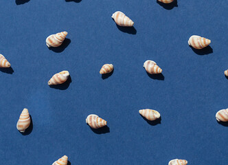 Seashells on the blue background seamless pattern flat lat. Top view