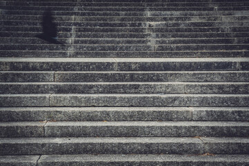 Black crow and empty concrete stairs
