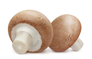 Two delicious mushrooms, isolated on white background