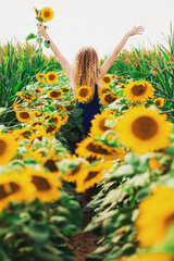 Hot summer mood, cute girl in the field of sunflowers, joy and smile to the sun