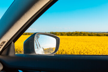 car rear view mirror yellow field in window