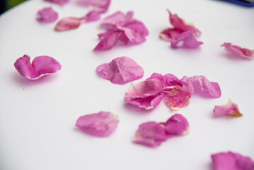 pink flower leaves on table at a weding