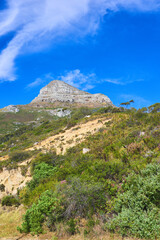 Landscape view of Lions Head mountain in Cape Town, South Africa. Blue sky, clouds over famous hiking, trekking terrain with lush growing plants in remote area. Travel and tourism abroad and overseas