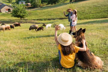 girl with cattle dog waving hand to happy parents herding livestock in green pasture.