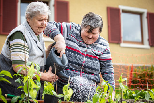 Senior Mother And Her Mentally Disabled Daughter Watering Plants Together With A Watering Can