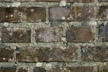 Closeup of an old, faded, dirty brick wall with copyspace. Damaged rough brick wall surface. Old brown bricks with dirt and copyspace. Zoom on in detail and pattern of brick, different size and shape