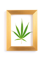 Cannabis plants leaf in a golden frame on isolated white background. The concept of the right use of cannabis.