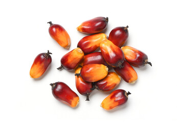 Flat lay of Palm oil nuts isolate on white background.
