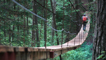 A suspension bridge on hiking trail through green dense forest with a man traveler with red backpack. Stock footage. Rear view of a man crossing the hanging bridge. - obrazy, fototapety, plakaty