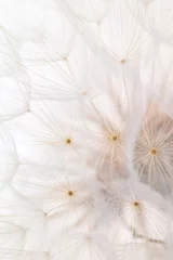 Kussenhoes Abstract dandelion macro flower background. Seed macro closeup. Soft focus © gitusik