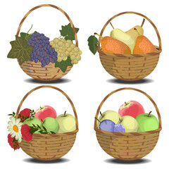 Fresh fruits in baskets with flowers. Apples, plums, pears, grape, daisy, poppy, vector illustration