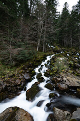 river in the forest in Pyrenees