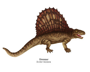 Brown Dimetrodon illustration. Sail-backed Dinosaur, brown crest on back. - 515365681
