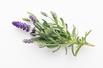 Fototapeta premium Flowers composition, frame made of lavender flowers on pastel background.
