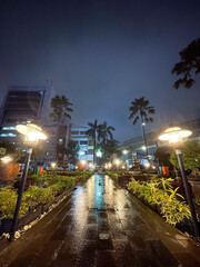 resort at night with shadow of flowers