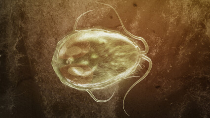 Giardia lamblia parasite as Closup - 3D Rendering - obrazy, fototapety, plakaty