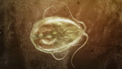 Fotobehang Giardia lamblia parasite as Closup - 3D Rendering © crevis