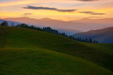 mountainous countryside at dusk. green grassy rolling hills on an autumn evening. carpathian rural scenery. view in to the distant ridge beneath a glowing sky with clouds