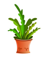 Exotic Indoor plants and flowers. In ceramic pots. Homemade beautiful herbs. Isolated on white background. Cartoon fun style. Vector