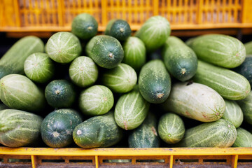 Selective focus on cucumber. Sale of fresh raw vegetable in market stall..