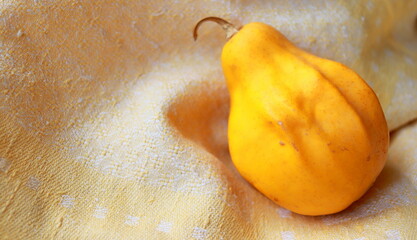 natural orange fabric texture and original ripe pumpkin of unusual shape selective and soft focus