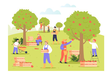 Obraz na płótnie Canvas People picking apples from trees flat vector illustration. Farmers in uniform reaping harvest in orchard or garden, collecting organic fruits in boxes and carts. Plantation, growth concept
