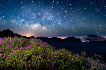 Amazing milkyway with blooming landscape
