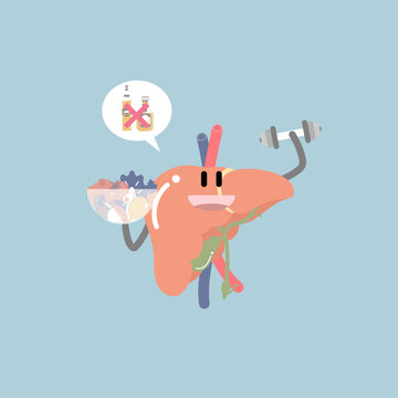 Liver clip art preview