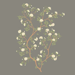 Camellia blossom tree Clip art, element for design Vector illustration. In botanical style