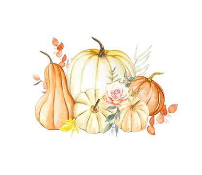 Hand drawn watercolor pumpkins, autumn illustration