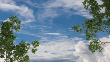 Obraz premium Green summer or spring leaves, tree branch over blue sky with clouds background