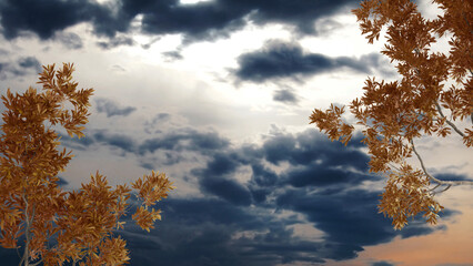 Orange yellow and red fall leaves, tree branch over sunrise sky with clouds background
