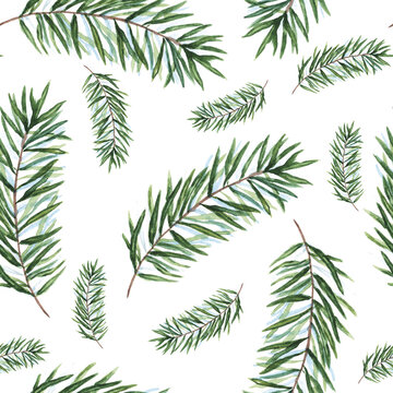 Watercolor Christmas tree branches seamless pattern. Hand painted texture with fir-needle natural elements isolated on white background. Winter wallpaper