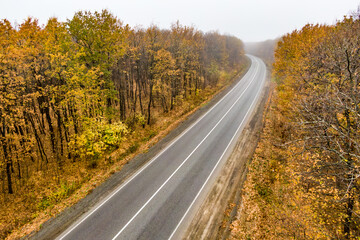 Fototapeta premium empty asphalt road through the autumn forest into the mist.