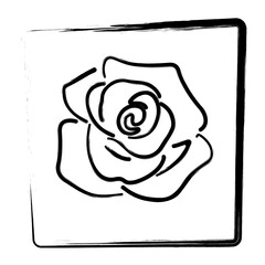 rose icon. Brush frame. Vector illustration.