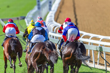 Horse Racing  Jockeys Horses Final Straight Rear Behind Photo Action. 