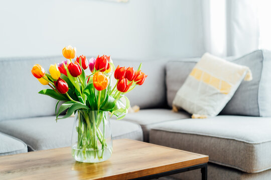 Vase of fresh tulips on the coffee table with blurred background of modern cozy light living room with gray couch sofa and graphic cushions. Open space home interior design. Copy space