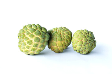 fruit in tropical wet