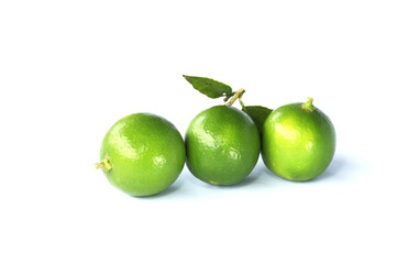 lime for cook