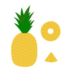 Hand drawn pineapple set. Whole fruit and slices. Cartoon tropical fruit. Isolated vector illustration. 