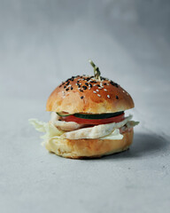 Delicious hot burger on a gray background. Isolate on a gray background. Delicious lunch, snack, food for young people
