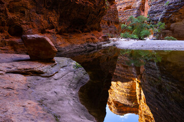 Fototapeta na wymiar Banded beehive shaped sandstone formations reflecting in water pool in the Cathedral Gorge in the Bungle Bungle National Park, Purnululu, in the Kimberley Region of Western Australia