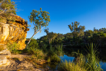 View over the Billabong at Manning Creek along the Gibb River Road, in the Kimberley Region of Western Australia