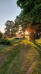A large wooden table with a white tablecloth and a vase of meadow flowers stands in a green meadow under large trees on the shore of a lake, a Summer Solstice food table in the yellow sunset light