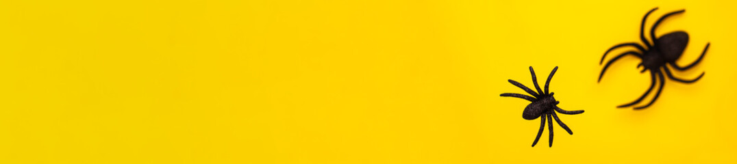 Flat lay levitation banner of two black horror spiders of different sizes directions on yellow backdrop with copy space. Halloween decoration spooky background concept for holidays